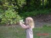 Filename=DSC00041.JPG
Filesize=61KiB
Dimensions=640x480
Date added=Jul 19, 2005 DSC00041.JPG