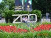 DSC00078.JPG