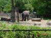 DSC00082.JPG