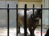 DSC00085.JPG