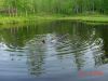 DSC00291.JPG