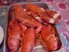 Filename=DSC00310.JPG
Filesize=61KiB
Dimensions=640x480
Date added=Jul 19, 2005 DSC00310.JPG