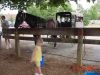 DSC00342.JPG