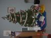 DSC00408.JPG