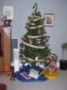 bdaytree.jpg