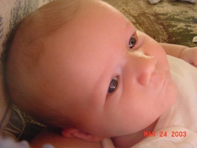 closeup.jpg