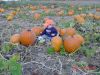 DSC00140.JPG