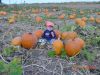 DSC00141.JPG
