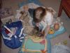 DSC00491.JPG