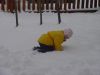 DSC00500.JPG