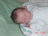 DSC00519.JPG