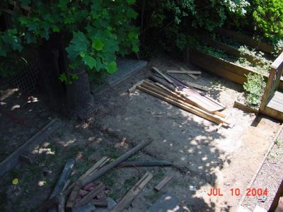 DSC00877.JPG