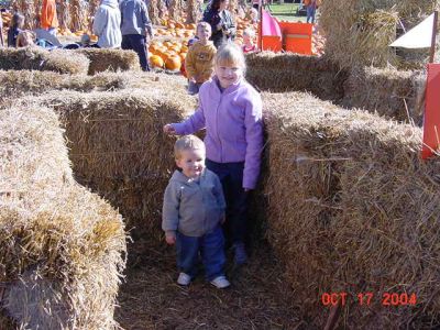 haymaze.JPG