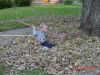 DSC00740.JPG