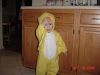 Filename=brayduck.JPG
Filesize=61KiB
Dimensions=640x480
Date added=Jul 19, 2005 brayduck.JPG