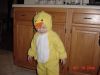 brayduck1.JPG