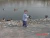 Filename=Braydon with Ducks 2.JPG
Filesize=63KiB
Dimensions=640x480
Date added=Jul 19, 2005 Braydon with Ducks 2.JPG