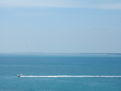 DSCF2195.JPG