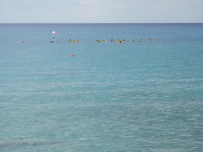 DSCF2205.JPG