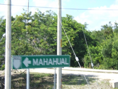 DSCF2227.JPG