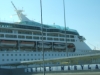 DSCF2113.JPG
