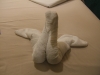 DSCF2201.JPG
