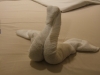 DSCF2203.JPG
