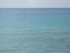 DSCF2205.JPG