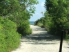 DSCF2218.JPG
