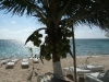 DSCF2219.JPG