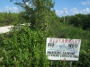 DSCF2224.JPG
