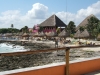 DSCF2229.JPG