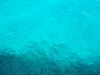 DSCF2231.JPG