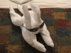 DSCF2241.JPG