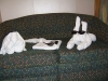 DSCF2286.JPG