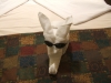 DSCF2287.JPG
