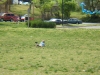 DSCF1427.JPG