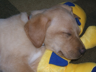 DSCF2406.JPG