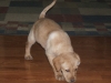 DSCF2395.JPG