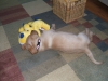 DSCF2407.JPG