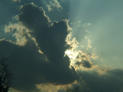 DSCF1390.JPG