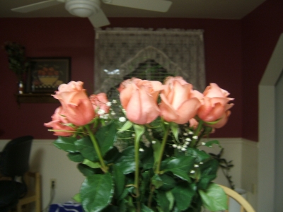 DSCF1850.JPG