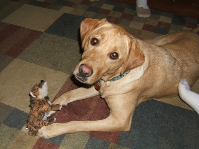 DSCF2372.JPG