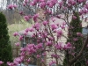 DSCF0998.JPG