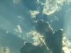 DSCF1391.JPG