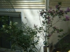 DSCF1405.JPG