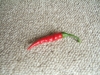 DSCF1845.JPG