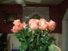 DSCF1850.JPG