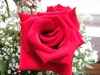 DSCF1939.JPG