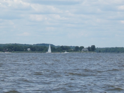 DSCF1571.JPG